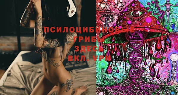 мдпв Покров